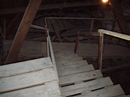 christchurch -1258.jpg